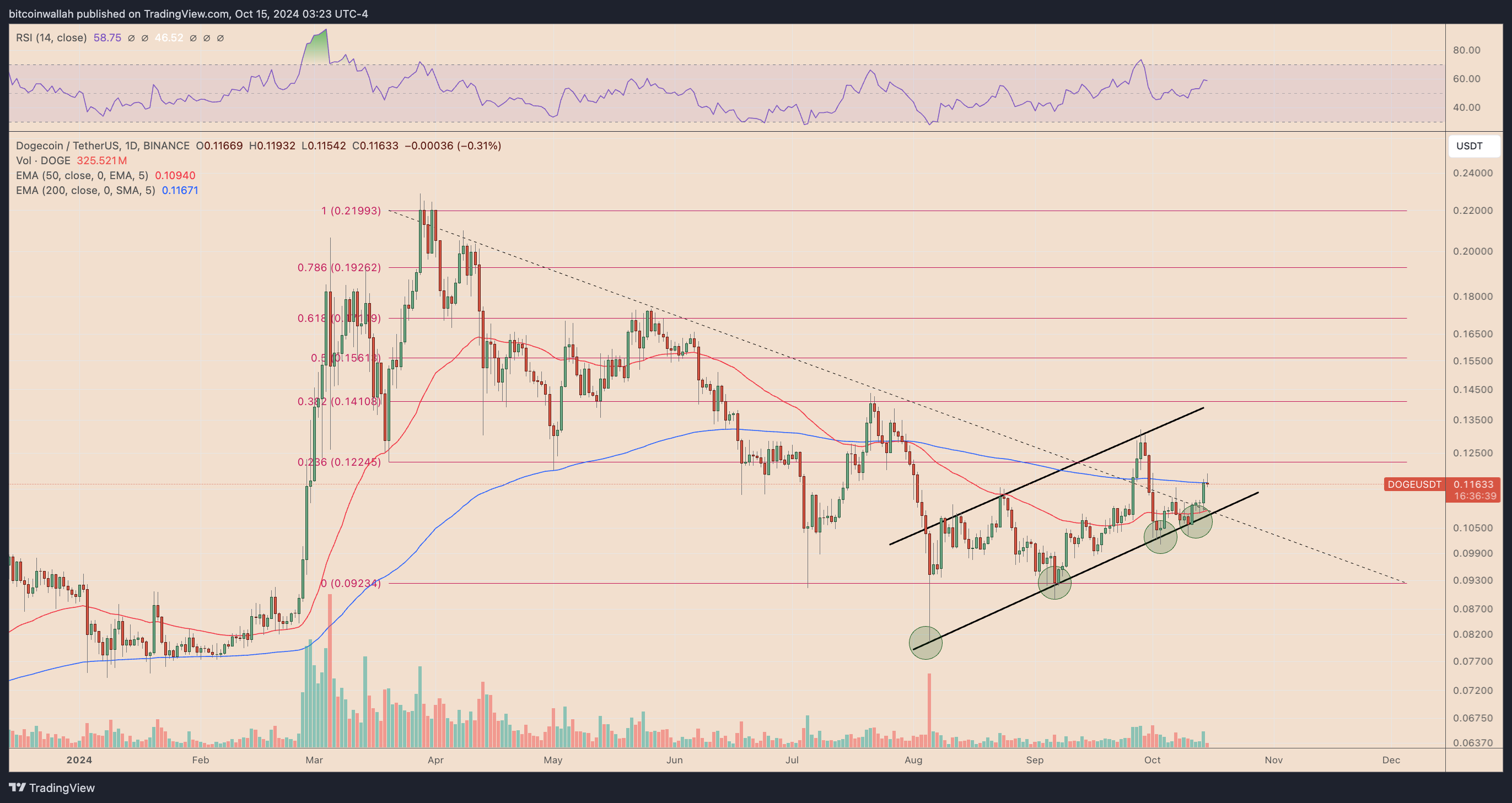 Dogecoin, Twitter, Kripto Para Birimleri, Piyasalar, Donald Trump, Tesla, Elon Musk, Teknik Analiz, Gri Tonlama, Piyasa Analizi, Altcoin İzleme, Memecoin